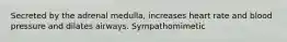 Secreted by the adrenal medulla, increases heart rate and blood pressure and dilates airways. Sympathomimetic