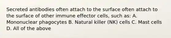 Secreted antibodies often attach to the surface often attach to the surface of other immune effector cells, such as: A. Mononuclear phagocytes B. Natural killer (NK) cells C. Mast cells D. All of the above