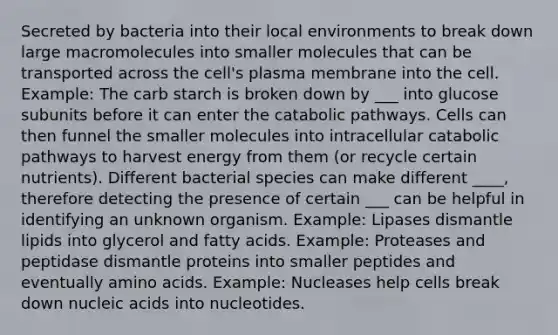 Secreted by bacteria into their local environments to break down large macromolecules into smaller molecules that can be transported across the cell's plasma membrane into the cell. Example: The carb starch is broken down by ___ into glucose subunits before it can enter the catabolic pathways. Cells can then funnel the smaller molecules into intracellular catabolic pathways to harvest energy from them (or recycle certain nutrients). Different bacterial species can make different ____, therefore detecting the presence of certain ___ can be helpful in identifying an unknown organism. Example: Lipases dismantle lipids into glycerol and fatty acids. Example: Proteases and peptidase dismantle proteins into smaller peptides and eventually amino acids. Example: Nucleases help cells break down nucleic acids into nucleotides.