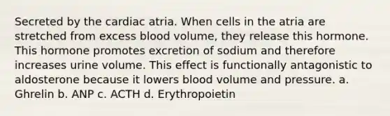 Secreted by the cardiac atria. When cells in the atria are stretched from excess blood volume, they release this hormone. This hormone promotes excretion of sodium and therefore increases urine volume. This effect is functionally antagonistic to aldosterone because it lowers blood volume and pressure. a. Ghrelin b. ANP c. ACTH d. Erythropoietin