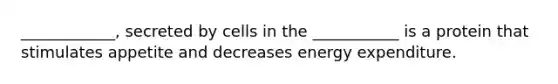 ____________, secreted by cells in the ___________ is a protein that stimulates appetite and decreases energy expenditure.