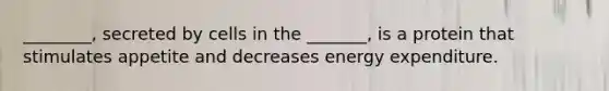 ________, secreted by cells in the _______, is a protein that stimulates appetite and decreases energy expenditure.