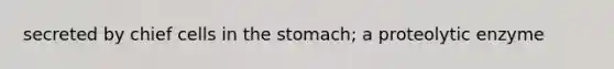 secreted by chief cells in <a href='https://www.questionai.com/knowledge/kLccSGjkt8-the-stomach' class='anchor-knowledge'>the stomach</a>; a proteolytic enzyme