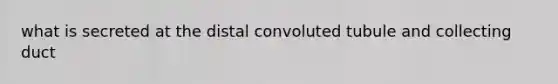 what is secreted at the distal convoluted tubule and collecting duct