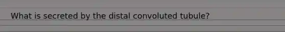 What is secreted by the distal convoluted tubule?