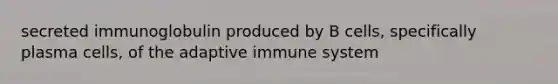 secreted immunoglobulin produced by B cells, specifically plasma cells, of the adaptive immune system