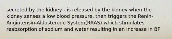 secreted by the kidney - is released by the kidney when the kidney senses a low <a href='https://www.questionai.com/knowledge/kD0HacyPBr-blood-pressure' class='anchor-knowledge'>blood pressure</a>, then triggers the Renin-Angiotensin-Aldosterone System(RAAS) which stimulates reabsorption of sodium and water resulting in an increase in BP