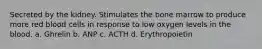 Secreted by the kidney. Stimulates the bone marrow to produce more red blood cells in response to low oxygen levels in the blood. a. Ghrelin b. ANP c. ACTH d. Erythropoietin