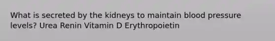 What is secreted by the kidneys to maintain blood pressure levels? Urea Renin Vitamin D Erythropoietin