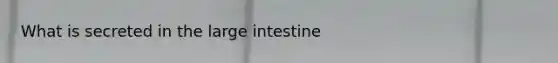 What is secreted in the large intestine