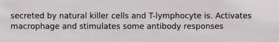 secreted by natural killer cells and T-lymphocyte is. Activates macrophage and stimulates some antibody responses