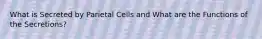 What is Secreted by Parietal Cells and What are the Functions of the Secretions?