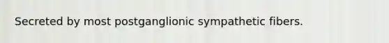 Secreted by most postganglionic sympathetic fibers.