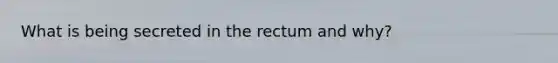 What is being secreted in the rectum and why?