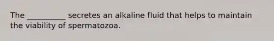 The __________ secretes an alkaline fluid that helps to maintain the viability of spermatozoa.