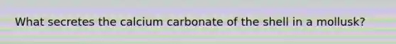 What secretes the calcium carbonate of the shell in a mollusk?