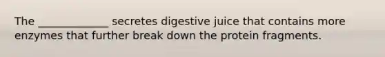 The _____________ secretes digestive juice that contains more enzymes that further break down the protein fragments.