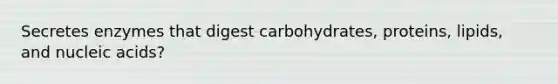 Secretes enzymes that digest carbohydrates, proteins, lipids, and nucleic acids?