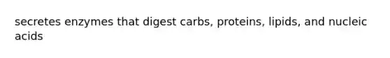 secretes enzymes that digest carbs, proteins, lipids, and nucleic acids