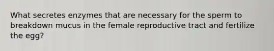 What secretes enzymes that are necessary for the sperm to breakdown mucus in the female reproductive tract and fertilize the egg?