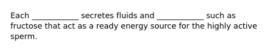 Each ____________ secretes fluids and ____________ such as fructose that act as a ready energy source for the highly active sperm.