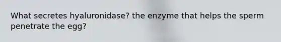 What secretes hyaluronidase? the enzyme that helps the sperm penetrate the egg?