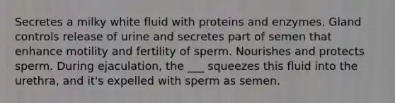 Secretes a milky white fluid with proteins and enzymes. Gland controls release of urine and secretes part of semen that enhance motility and fertility of sperm. Nourishes and protects sperm. During ejaculation, the ___ squeezes this fluid into the urethra, and it's expelled with sperm as semen.