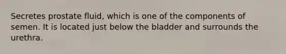 Secretes prostate fluid, which is one of the components of semen. It is located just below the bladder and surrounds the urethra.