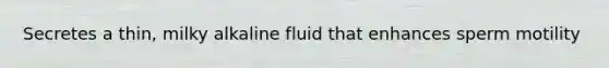 Secretes a thin, milky alkaline fluid that enhances sperm motility