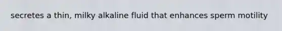 secretes a thin, milky alkaline fluid that enhances sperm motility