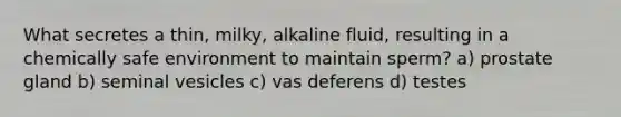 What secretes a thin, milky, alkaline fluid, resulting in a chemically safe environment to maintain sperm? a) prostate gland b) seminal vesicles c) vas deferens d) testes