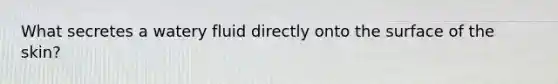 What secretes a watery fluid directly onto the surface of the skin?