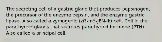 The secreting cell of a gastric gland that produces pepsinogen, the precursor of the enzyme pepsin, and the enzyme gastric lipase. Also called a zymogenic (zī?-mō-JEN-ik) cell. Cell in the parathyroid glands that secretes parathyroid hormone (PTH). Also called a principal cell.