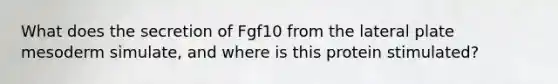 What does the secretion of Fgf10 from the lateral plate mesoderm simulate, and where is this protein stimulated?