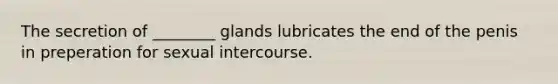 The secretion of ________ glands lubricates the end of the penis in preperation for sexual intercourse.