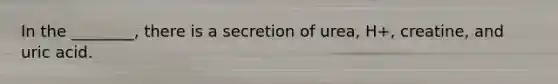 In the ________, there is a secretion of urea, H+, creatine, and uric acid.