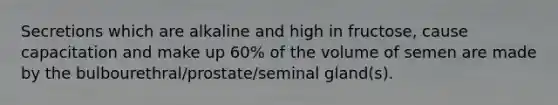 Secretions which are alkaline and high in fructose, cause capacitation and make up 60% of the volume of semen are made by the bulbourethral/prostate/seminal gland(s).