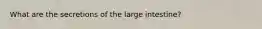 What are the secretions of the large intestine?