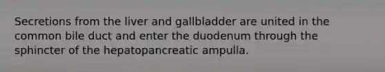 Secretions from <a href='https://www.questionai.com/knowledge/kR9aBthbil-the-liver-and-gallbladder' class='anchor-knowledge'>the liver and gallbladder</a> are united in the common bile duct and enter the duodenum through the sphincter of the hepatopancreatic ampulla.