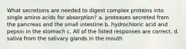 What secretions are needed to digest complex proteins into single amino acids for absorption? a. proteases secreted from the pancreas and the small intestine b. hydrochloric acid and pepsin in the stomach c. All of the listed responses are correct. d. saliva from the salivary glands in the mouth