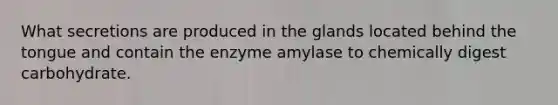 What secretions are produced in the glands located behind the tongue and contain the enzyme amylase to chemically digest carbohydrate.