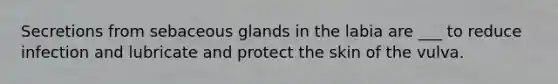 Secretions from sebaceous glands in the labia are ___ to reduce infection and lubricate and protect the skin of the vulva.