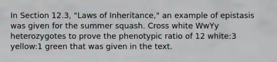 In Section 12.3, "Laws of Inheritance," an example of epistasis was given for the summer squash. Cross white WwYy heterozygotes to prove the phenotypic ratio of 12 white:3 yellow:1 green that was given in the text.