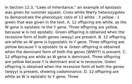 In Section 12.3, "Laws of Inheritance," an example of epistasis was given for summer squash. Cross white WwYy heterozygotes to demonstrate the phenotypic ratio of 12 white : 3 yellow : 1 green that was given in the text. A. 12 offspring are white, as the W gene is epistatic to the Y gene. Three offspring are yellow, because w is not epistatic. Green offspring is obtained when the recessive form of both genes (wwyy) are present. B. 12 offspring are white as W gene is hypostatic to Y gene. Three offspring are yellow because Y is epistatic to w. Green offspring is obtained when the dominant form of both the genes (WWYY) is present. C. 12 offspring are white as W gene is dominant. Three offspring are yellow because Y is dominant and w is recessive. Green offspring is obtained when the recessive form of both the genes (wwyy) is present, showing codominance. D. 12 offspring are white as W is epistatic to Y gene. Three