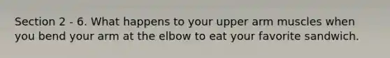 Section 2 - 6. What happens to your upper arm muscles when you bend your arm at the elbow to eat your favorite sandwich.