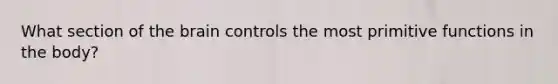 What section of the brain controls the most primitive functions in the body?