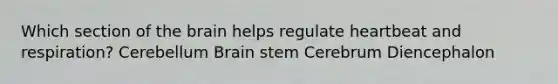 Which section of the brain helps regulate heartbeat and respiration? Cerebellum Brain stem Cerebrum Diencephalon