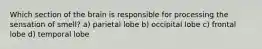 Which section of the brain is responsible for processing the sensation of smell? a) parietal lobe b) occipital lobe c) frontal lobe d) temporal lobe