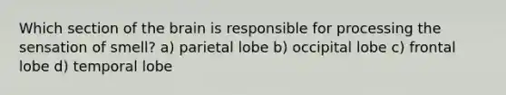 Which section of the brain is responsible for processing the sensation of smell? a) parietal lobe b) occipital lobe c) frontal lobe d) temporal lobe