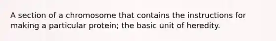 A section of a chromosome that contains the instructions for making a particular protein; the basic unit of heredity.